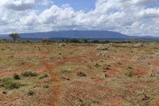Land For Sale In Kimuka Town Ngong