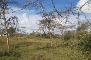 Prime 8 Acres Of Land For Sale Along Mombasa Road