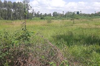 One Acre For Sale In Juja