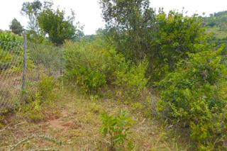 Two Acres For Sale In Mua Hills