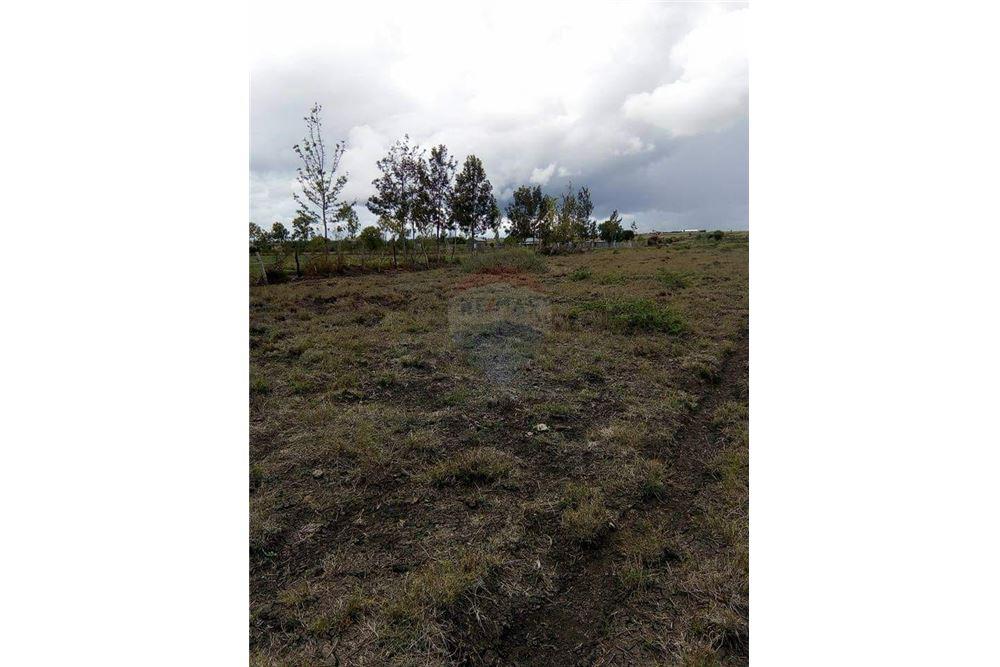 Land For Sale In Tala