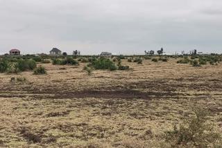 Land For Sale In Kalimoni Juja Kiambu