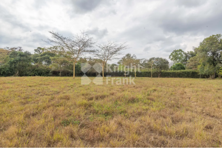Land For Sale In Mukoma Road, Langata, Nairobi