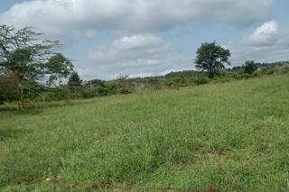 1/8 Plot For Sale In Ngong