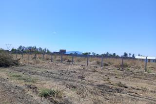 Phase Eleven Juja Farm Land For Sale In Juja