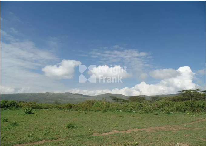 Land For Sale In Moi North Lake Road, Naivasha