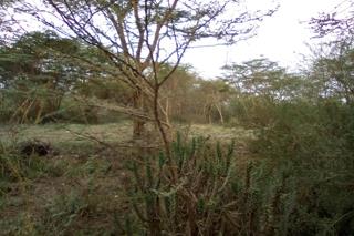Vacant Land For Sale In Athi River 40 Acres Price On Ask