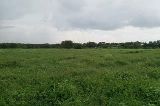 20-acres Of Land For Sale In Athi River Price On Ask