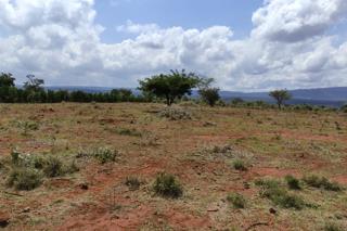 Land For Sale In Ngong Suswa Road