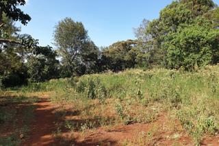 1/4 Land For Sale In Ngong