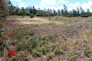 1/2 Land For Sale In Ngong