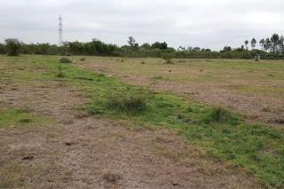 Land For Sale In Juja